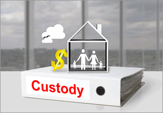 custody dispute